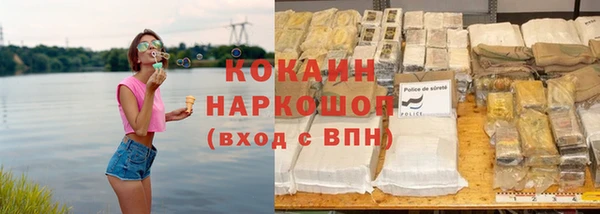мдпв Краснослободск