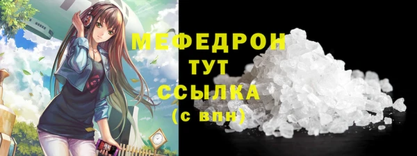 мдпв Краснослободск