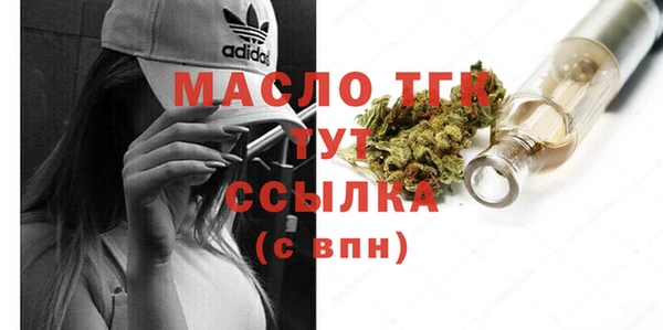 мдпв Краснослободск