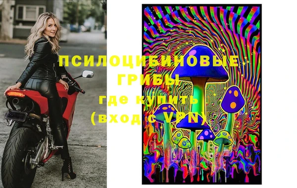 мдпв Краснослободск