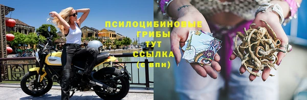 дживик Куйбышев