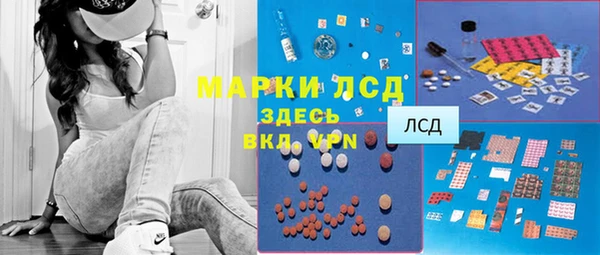 мдпв Краснослободск