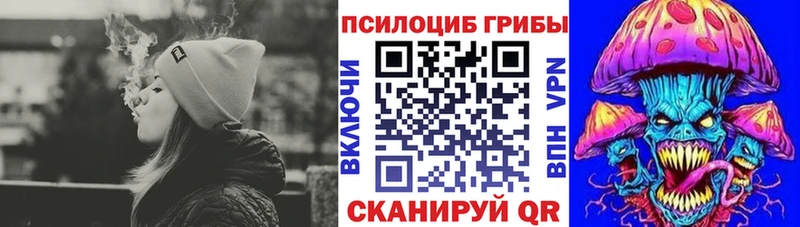 Купить закладки  Великий Устюг  Псилоцибиновые грибы мицелий 