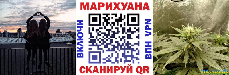 Купить где  Великий Устюг  Конопля ГИДРОПОН 